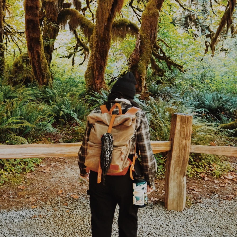 Bradley Mountain Biographer Backpack With 2 Beanies!
